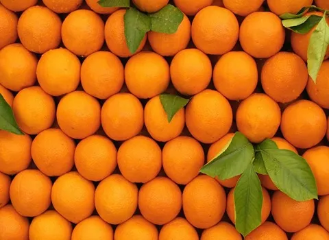 پرتقال شب عید؛ خونی تامسون طعم خوش تازه مرغوب Orange