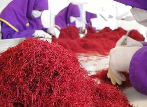 قیمت خرید  زعفران فله ای قائنات + راهنمای استفاده