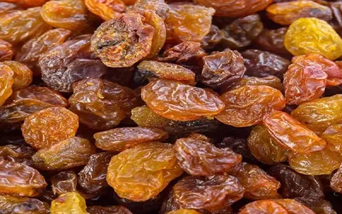کشمش آفتابی عمده؛ نرم لطیف زرد طلایی Sunny Raisin