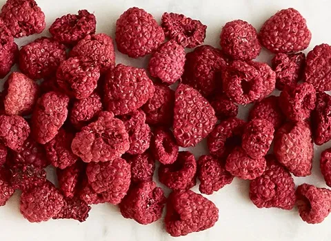 معرفی میوه تمشک خشک + بهترین قیمت خرید