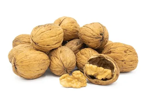 راهنمای خرید گردو پوست نازک + قیمت عالی