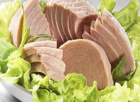 خرید کنسرو تن ماهی تاج بانو + بهترین قیمت