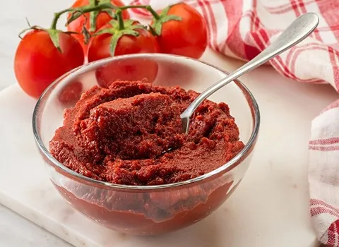 خرید جدیدترین انواع رب گوجه بریکس