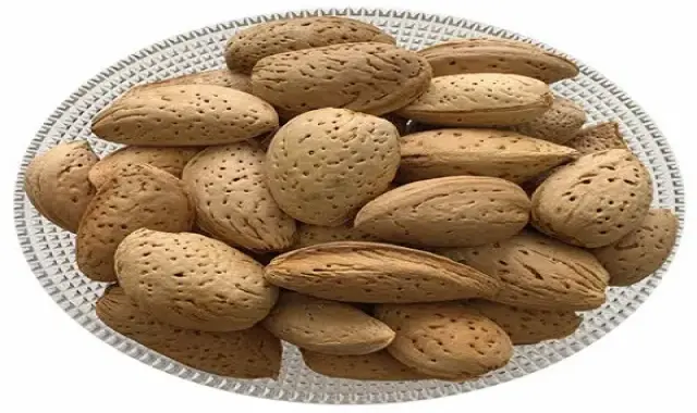 قیمت بادام سنگی امسال 1403