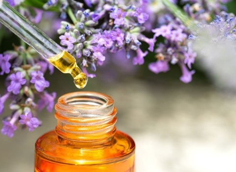 کاربرد روغن بنفشه برای سفیدی مو + قیمت خرید