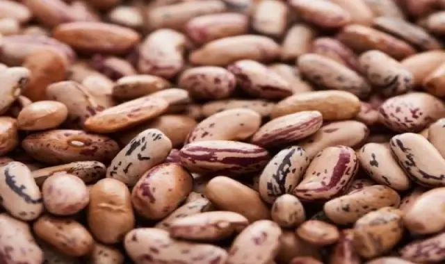 غذا با لوبیا چیتی - با لوبیا چیتی چی درست کنم + کاربرد کنسرو لوبیا تازه