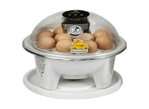 خرید و قیمت روز تجهیزات مرغداری شیراز