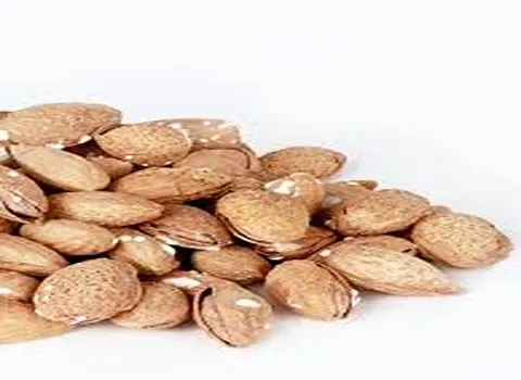 بادام با پوست کاغذی؛ سنگی کاغذی ربیع حاوی امگا 3 منیزیم fiber