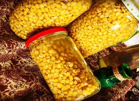 کنسرو ذرت درسته؛ ارگانیک فولیک اسید دارای کربوهیدرات Brazil