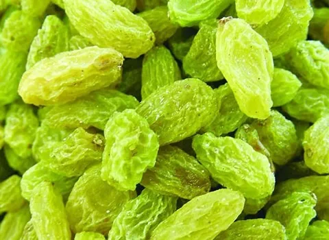 قیمت کشمش سبز ملایر