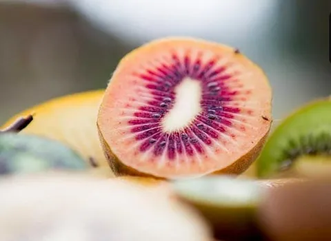 قیمت کیوی خونی + خرید و فروش کیوی خونی عمده