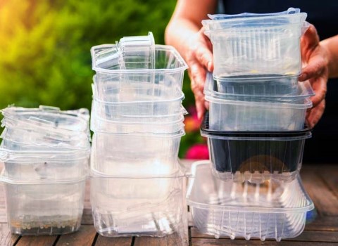 ظروف یکبار مصرف سایز کوچک؛ میوه سبزیجات 2 نوع ساده طرح دار