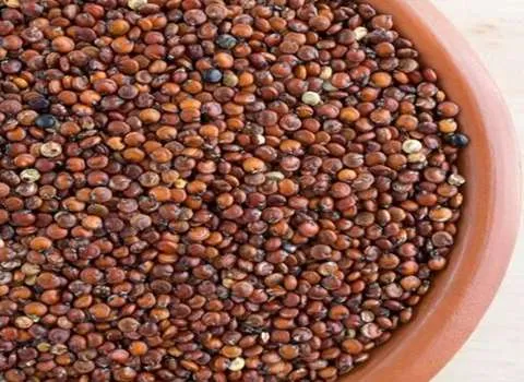 خاویار اصفهان همراه با توضیحات کامل و آشنایی