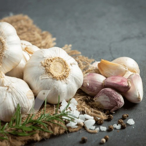 خرید سیر تازه طارم تضمینی + بهترین قیمت