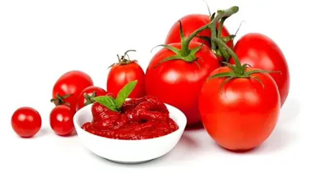 قیمت و خرید رب گوجه حلب ۱۶کیلویی خوشرو + فروش ارزان