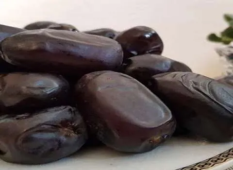 قیمت خرید خرما مضافتی فله + تست کیفیت