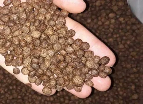 قیمت خوراک ماهی خاویاری