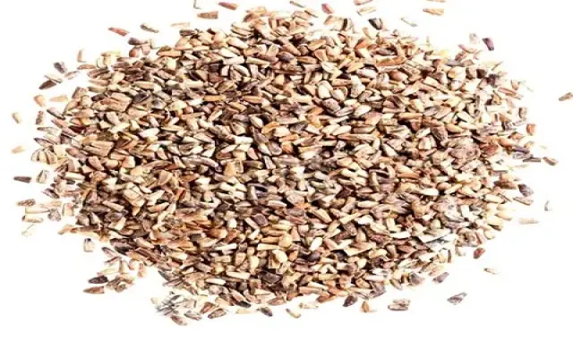 خرید انواع  سویق تپلی صورت + قیمت