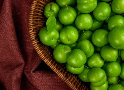 قیمت خرید آلوچه جنگلی سبز + خواص، معایب و مزایا