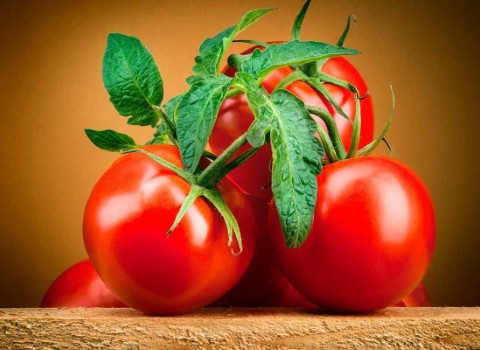 قیمت گوجه فرنگی در میدان تره بار کرج