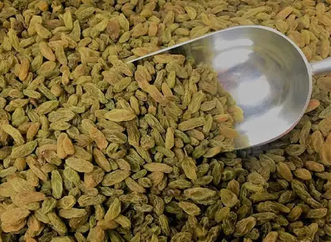 کشمش سبز عمده؛ فاقد افزودنی کشیده باریک کوتاه تپل driedgrapes