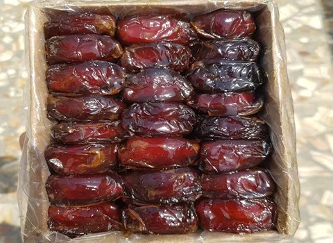 قیمت خرید خرما کبکاب کارتنی + تست کیفیت