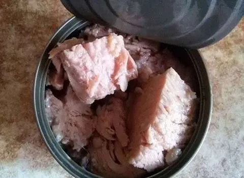 قیمت و خرید کنسرو ماهی آنچوی ایرانی + فروش ارزان