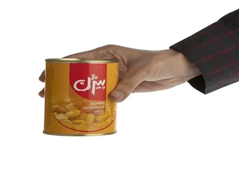 کنسرو ذرت بیژن همراه با توضیحات کامل و آشنایی