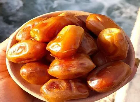 قیمت خرما بوشهر + خرید و فروش خرما بوشهر عمده