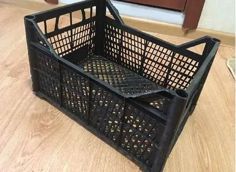 قیمت سبد میوه ۷ کیلویی