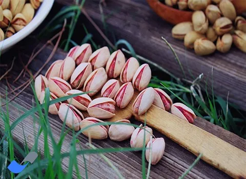 بهترین پسته رفسنجان 1403 + قیمت خرید عالی