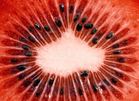 بهترین کیوی تو سرخ بندر انزلی + قیمت خرید عالی