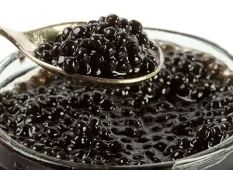 خرید و قیمت روز خاویار بلوگا روسی