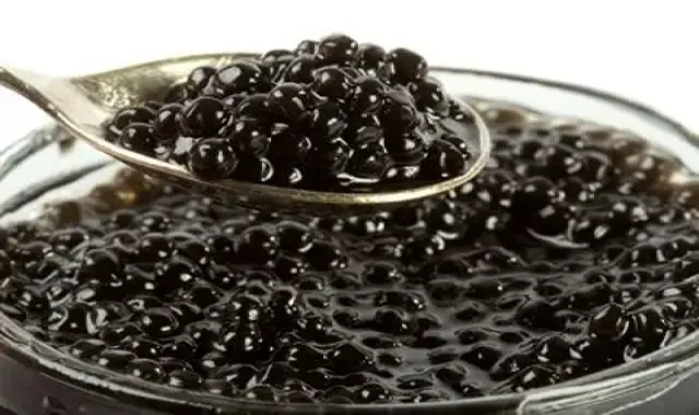 خرید و قیمت روز خاویار بلوگا روسی