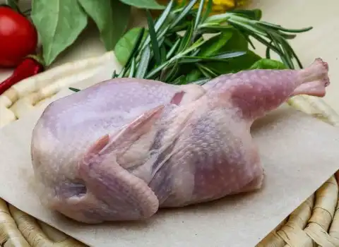 مشخصات گوشت یخزده بلدرچین + قیمت خرید