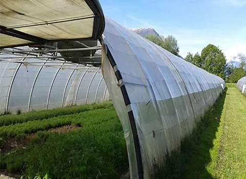 خرید نایلون گلخانه ای پلی اتیلن + بهترین قیمت