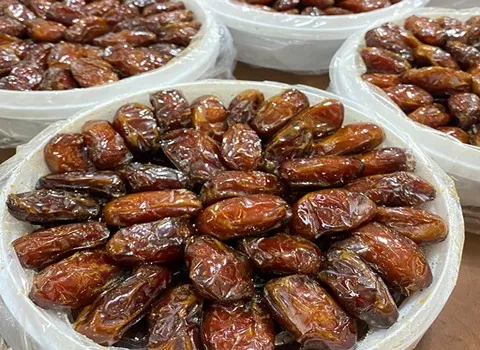 خرید انواع خرمای کبکاب سطلی + قیمت