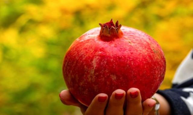 قیمت انار شیرین یا ترش در یزد