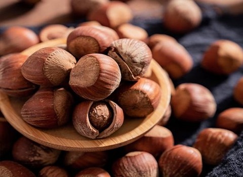 خرید انواع فندق خندان مشهد + قیمت