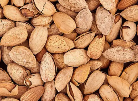 قیمت بادام پوست کاغذی خام + مشخصات بسته بندی عمده و ارزان