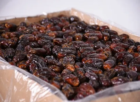 قیمت خرما شیرین خوزستان + پخش تولیدی عمده کارخانه