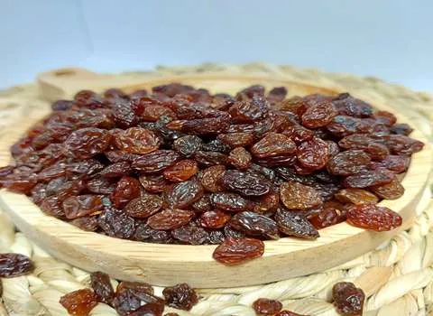 قیمت خرید کشمش تیزابی طلایی + تست کیفیت