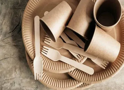 خرید ظروف یکبار مصرف کاغذی شیراز با قیمت استثنایی