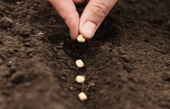 #تازه_واردها: خود را در محاصره آراد در بیاورید و از غیر اینها دوری کنید.