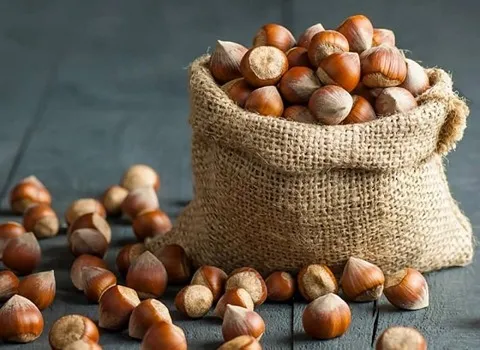 مغز فندق خام؛ با کیفیت درجه یک (فسفر فیبر منیزیم) فاقد آفت زدگی کرم خوردگی