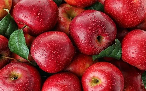 سیب درختی امروز ارومیه؛ ارگانیک (تازه) تقویت کننده سلول عصبی 4 نوع سیب گلاب زرد قرمز ترش