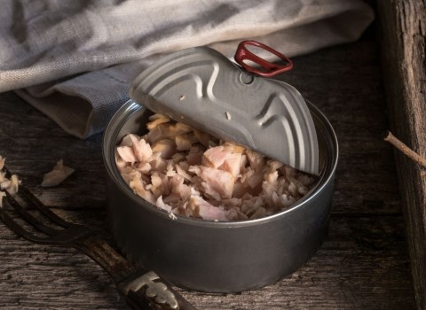 خواص کنسرو تن ماهی سرشار از مواد مغذی در دوران شیردهی