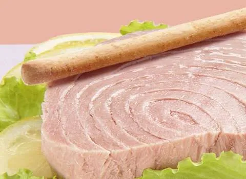 قیمت کنسرو ماهی استقلال + پخش تولیدی عمده کارخانه