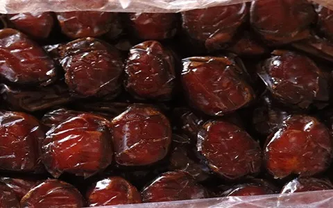 خرمای کبکاک درجه یک/ خرید با قیمت ارزان