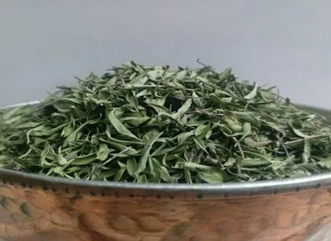 خرید انواع اویشن خشک درجه یک + قیمت